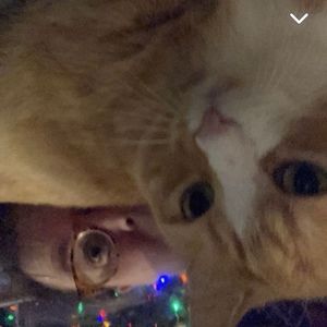 Meet your Posher, Caryn